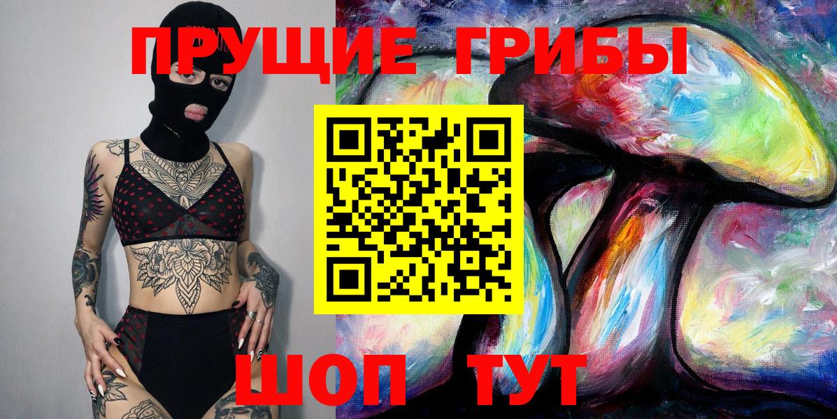 Галлюциногенные грибы Psilocybe Александров