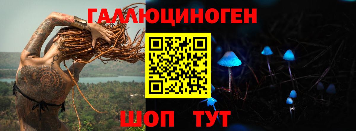 Псилоцибиновые грибы прущие грибы  Вход с VPN  Александров  Псилоцибиновые грибы Magic Shrooms 