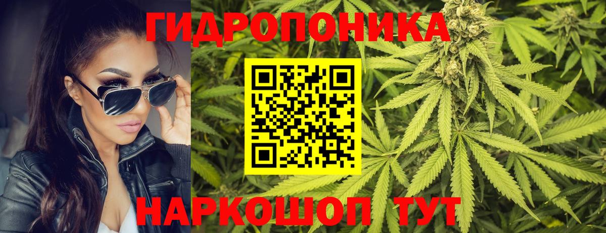 Конопля MAZAR  Каннабис OG Kush  Вход с VPN  Шишки марихуана семена  Александров 
